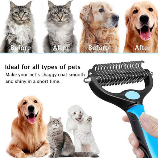 a dog and a cat are shown before and after being brushed