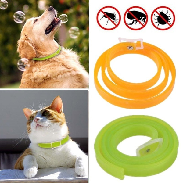 Dog Flea Collars