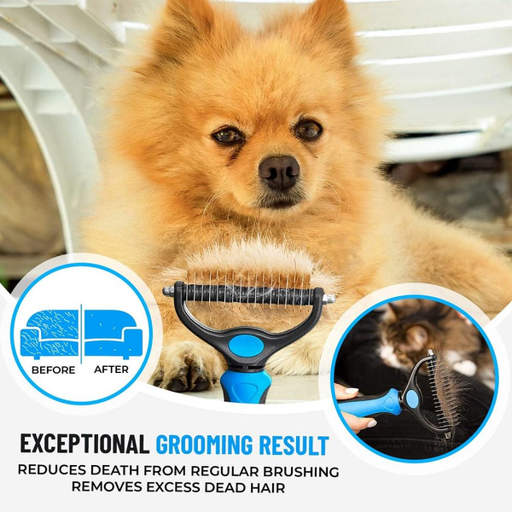 a dog is being groomed with an exceptional grooming result
