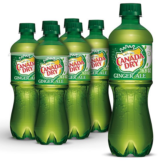Canada Dry Ginger Ale - 6-16.9 Fl. Oz.