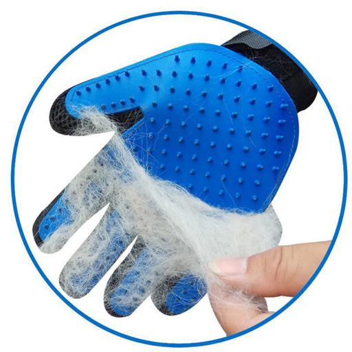 a blue glove is being used to brush a dog 's fur