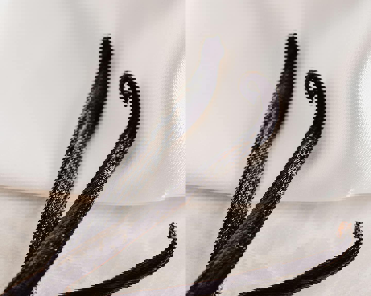 two vanilla sticks are sitting on a white cloth