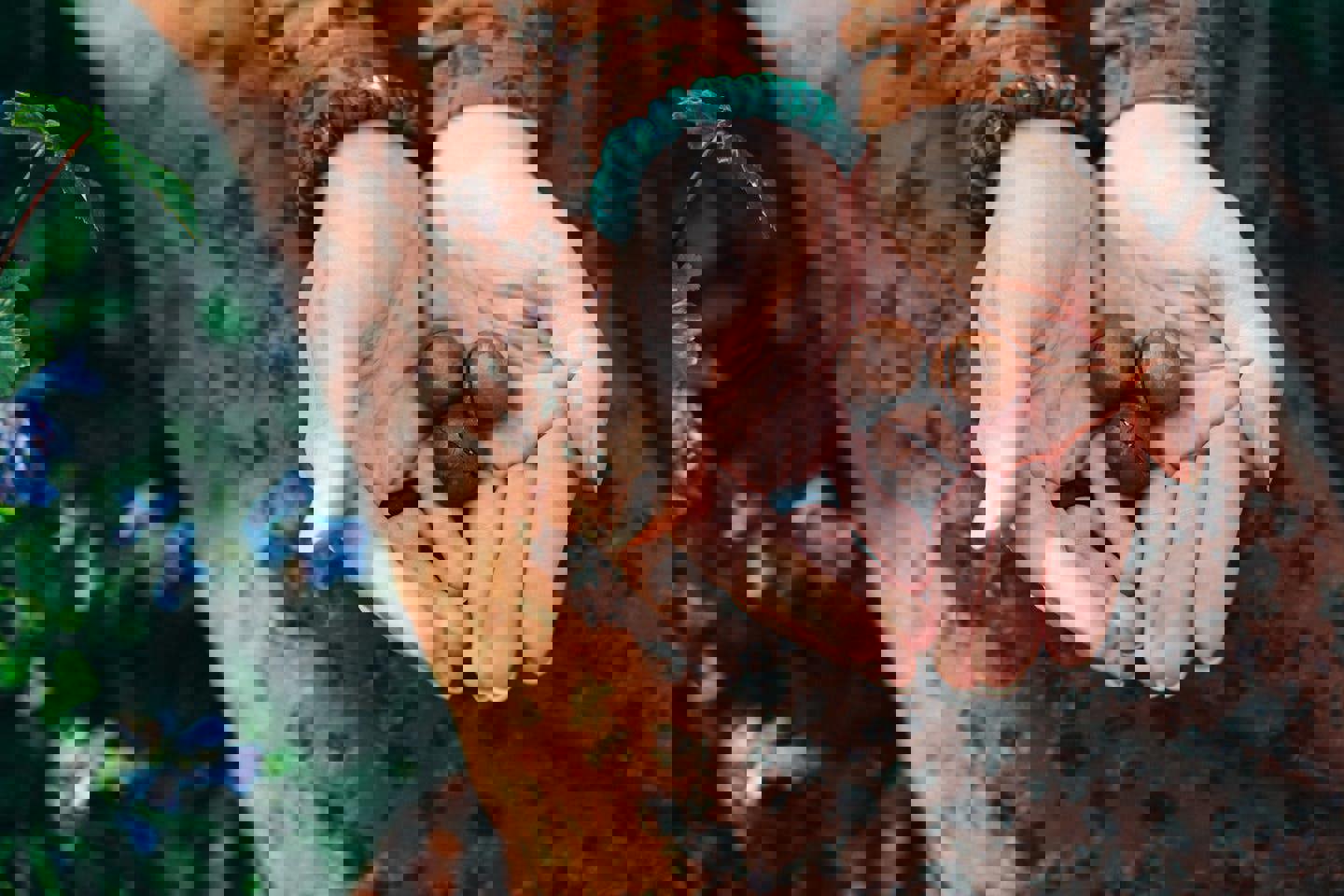 a woman is holding macadamia nuts in her hands