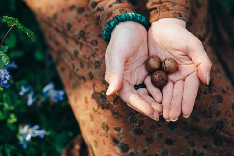 a woman is holding macadamia nuts in her hands