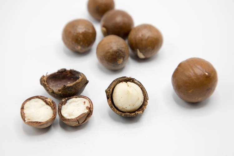 macadamia nuts are peeled and ready to be eaten on a white background