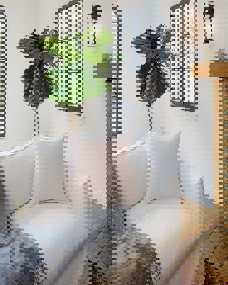 a white couch with a pink pillow and a fiddle leaf fig tree in the background