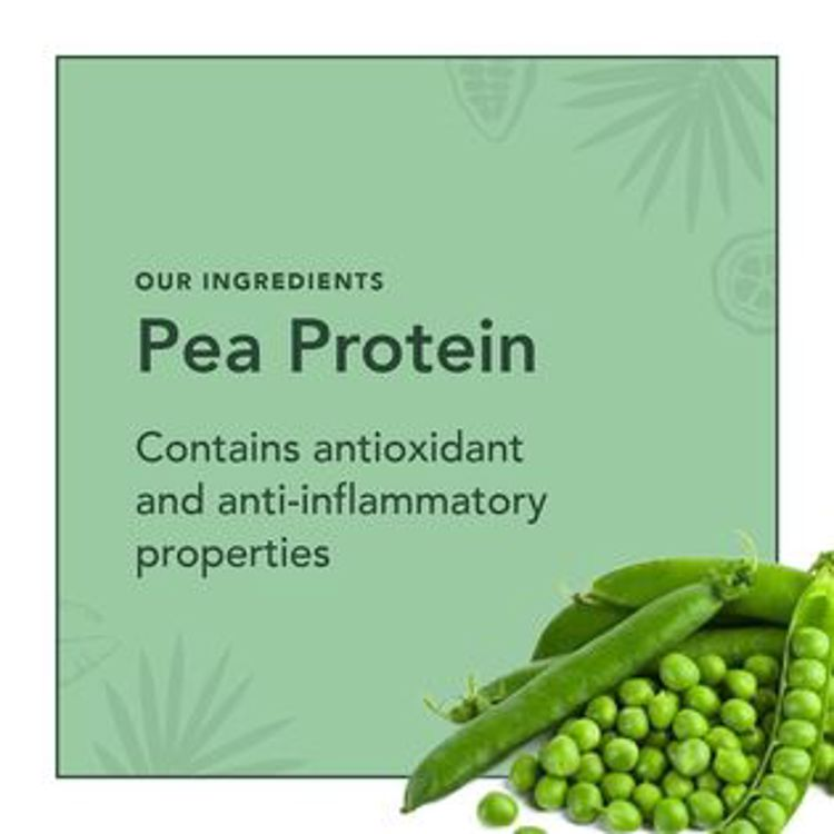 pea protein contains antioxidant and anti-inflammatory properties