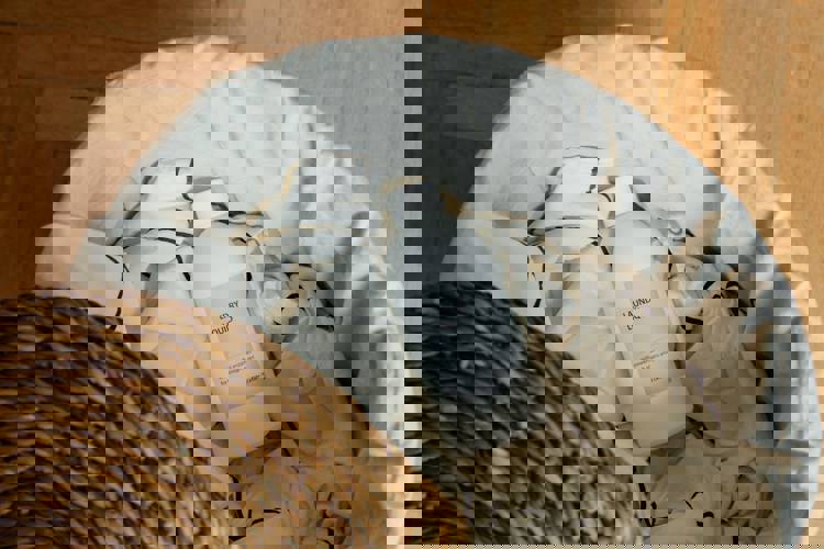 a bottle of laundry liquid sits in a laundry basket