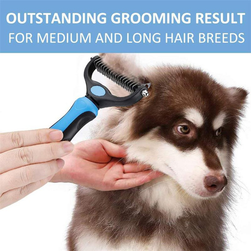 a husky dog is being groomed by a person with an outstanding grooming result for medium and long hair breeds