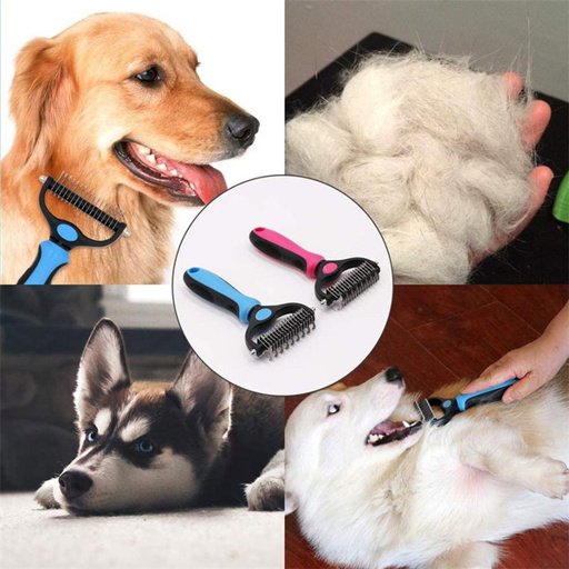 a dog is being brushed with a blue and pink brush